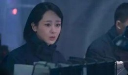 杨紫爆料烈火英雄视频,一场惊心动魄的消防员传奇